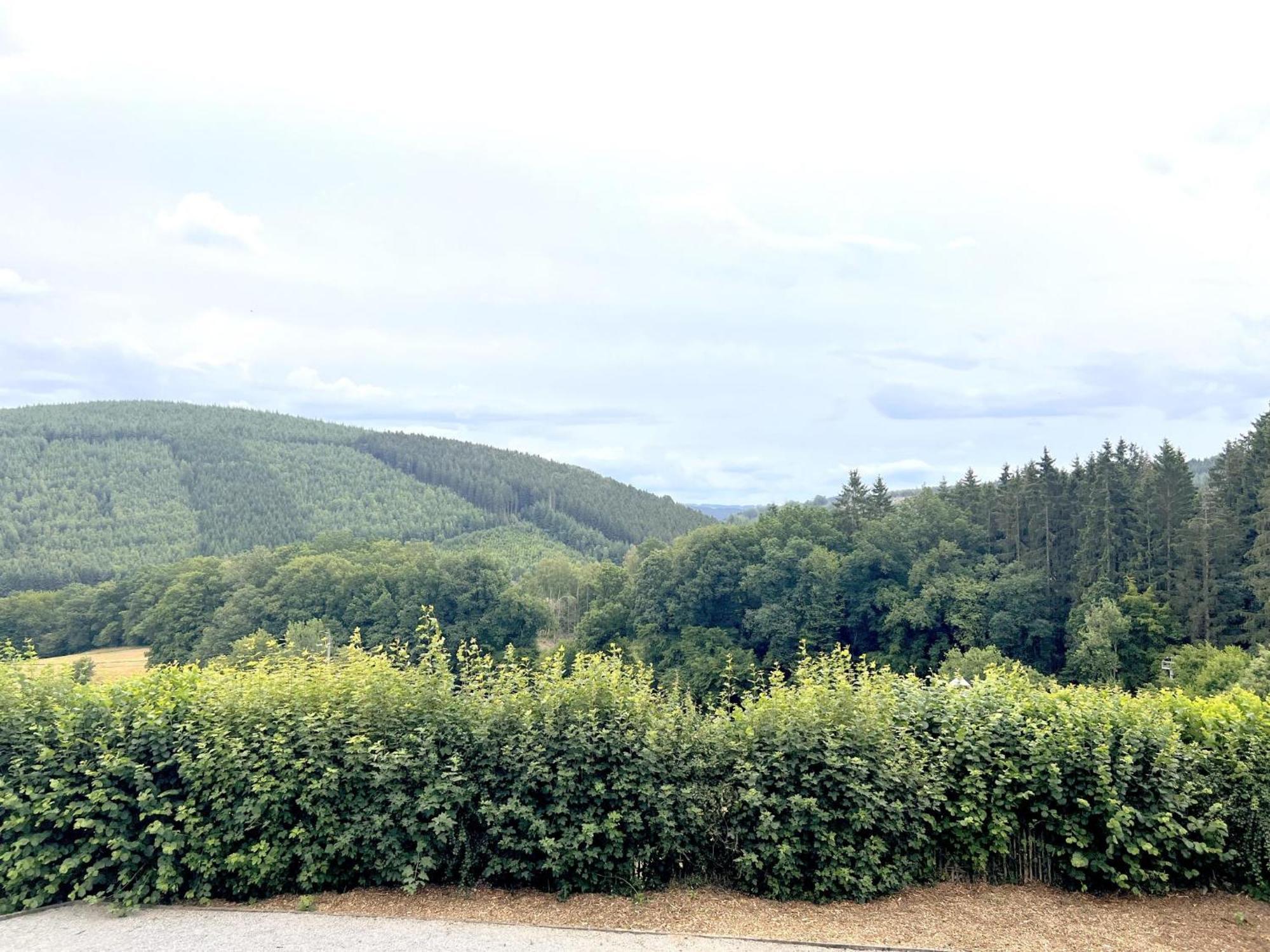 Вилла Sur Les Thiers Lierneux Экстерьер фото